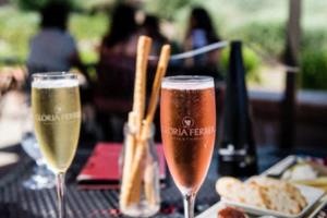 18年世界杯,中国积分背后的故事与启示18年世界杯中国积分