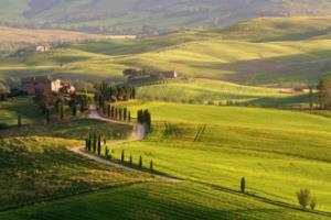 U17世界杯蛋糕,甜蜜与激情的结合U17世界杯蛋糕